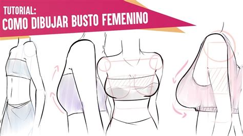 Tutorial: cómo dibujar pechos femeninos